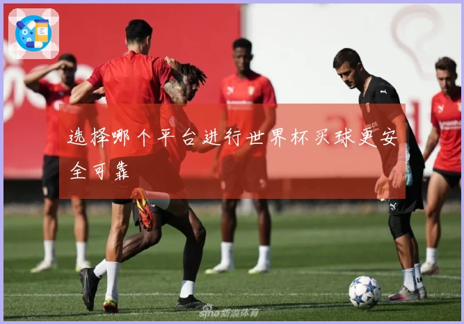 选择哪个平台进行世界杯买球更安全可靠