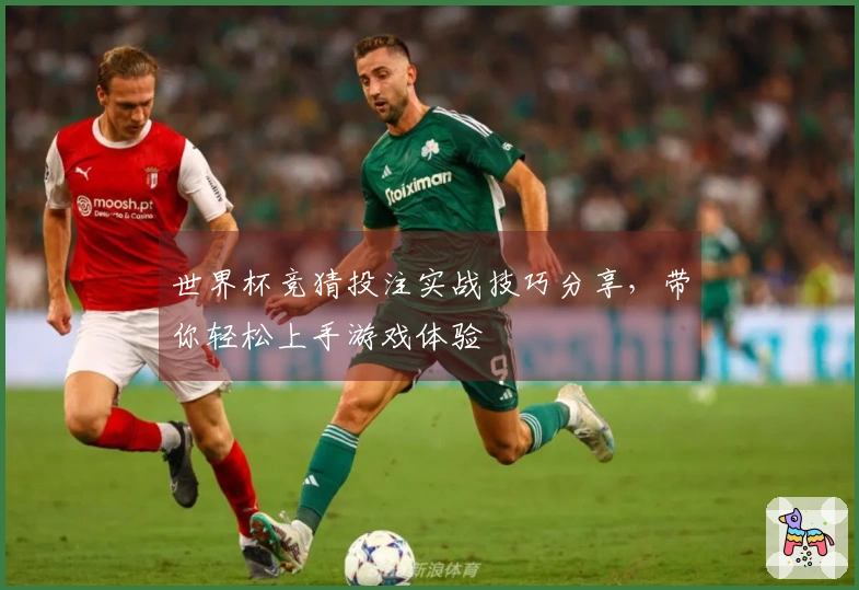 世界杯竞猜投注实战技巧分享，带你轻松上手游戏体验