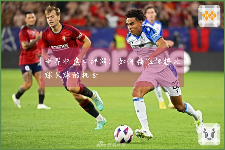 世界杯盘口详解：如何精准把握让球买球的机会