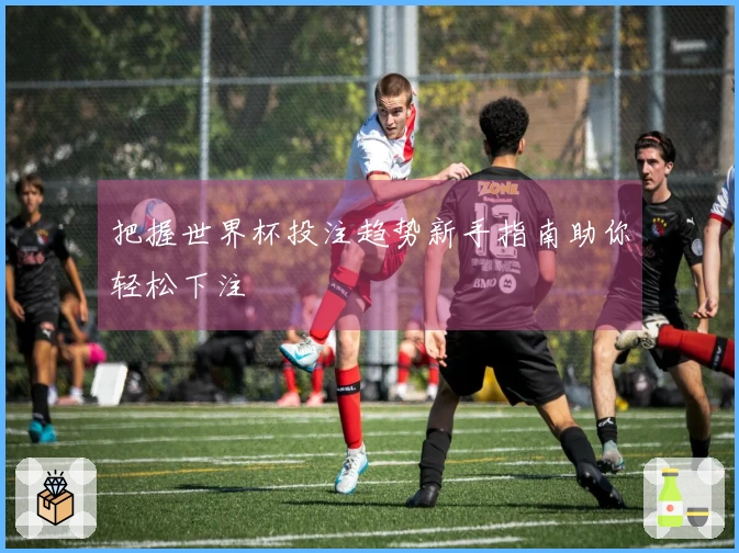 把握世界杯投注趋势新手指南助你轻松下注
