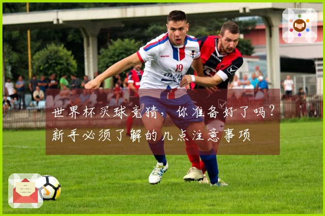 世界杯买球竞猜，你准备好了吗？新手必须了解的几点注意事项