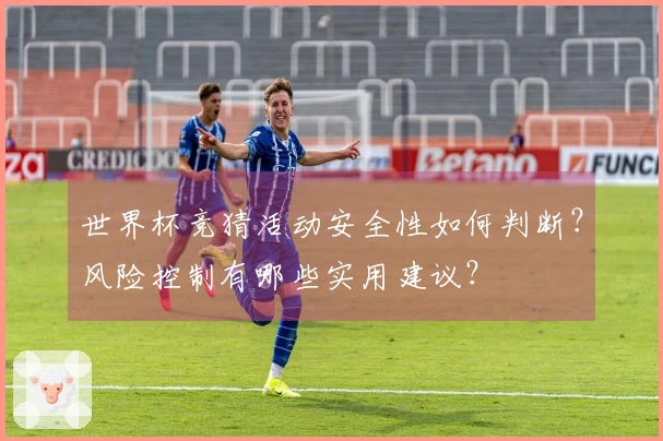 世界杯竞猜活动安全性如何判断?风险控制有哪些实用建议?