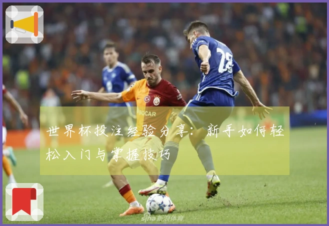 世界杯投注经验分享:新手如何轻松入门与掌握技巧