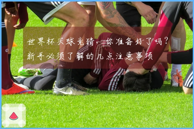 世界杯买球竞猜，你准备好了吗？新手必须了解的几点注意事项